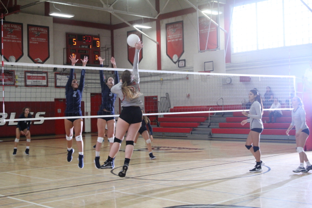 Lady Cavs Volleyball Take Loss Against Lourdes