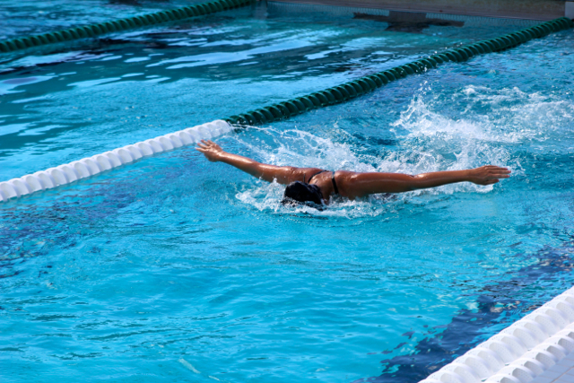Cavalier Swimming Conquers the Cobras