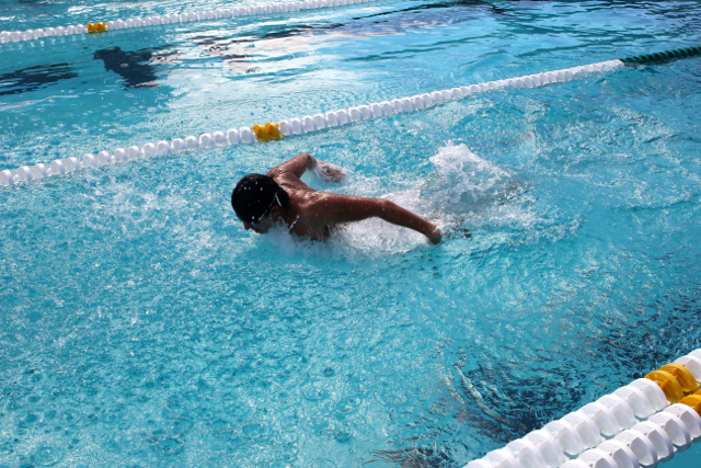 Cavalier Swimming Conquers the Cobras