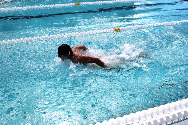 Cavalier Swimming Conquers the Cobras