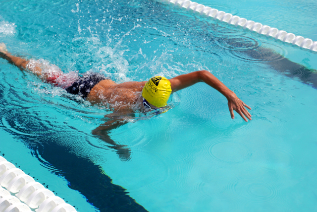 Cavalier Swimming Conquers the Cobras