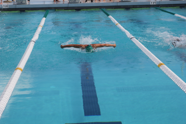 Cavalier Swimming Conquers the Cobras