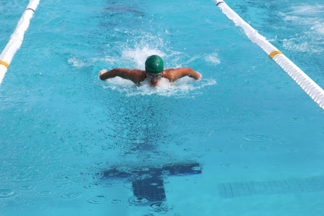 Cavalier Swimming Conquers the Cobras
