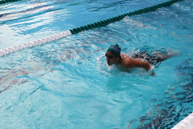 Cavalier Swimming Conquers the Cobras