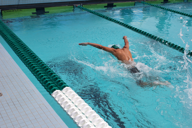 Cavalier Swimming Conquers the Cobras