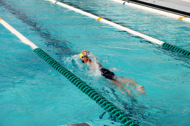 Cavalier Swimming Conquers the Cobras
