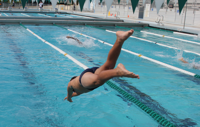 Cavalier Swimming Conquers the Cobras