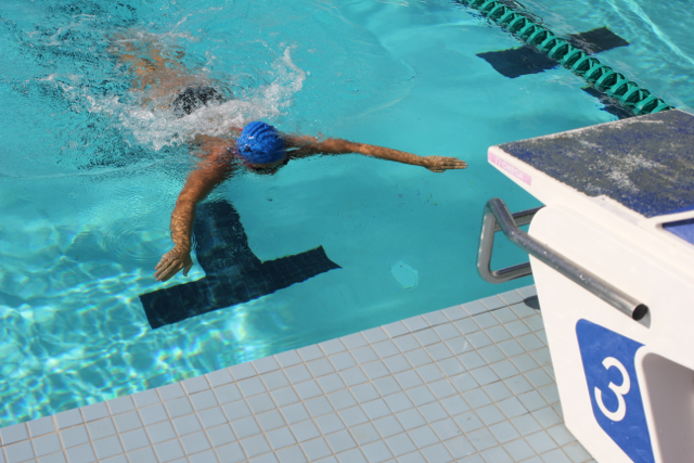 Cavalier Swimming Conquers the Cobras