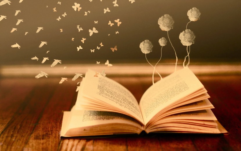 "Para viajar lejos no hay mejor nave que un libro" - Emily Dickinson