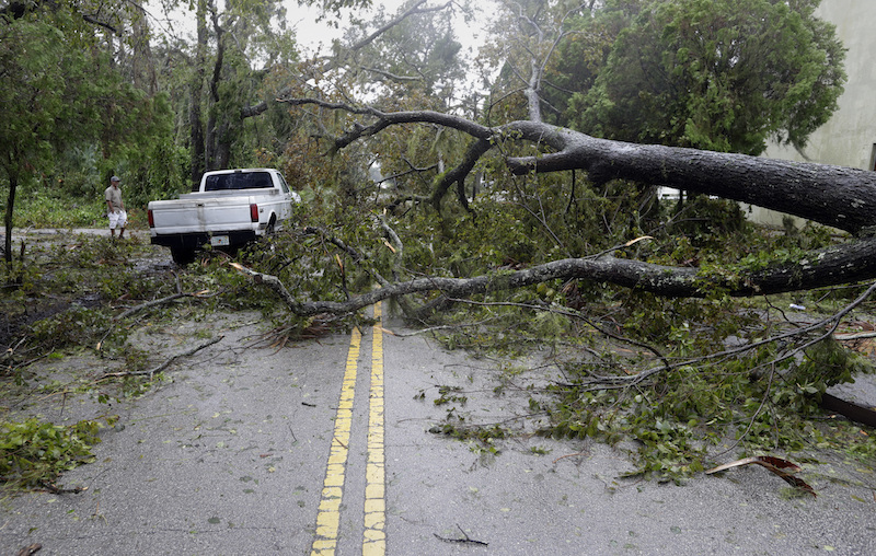 Arboles caídos se encontraban en las calles de el Sur de Carolina.