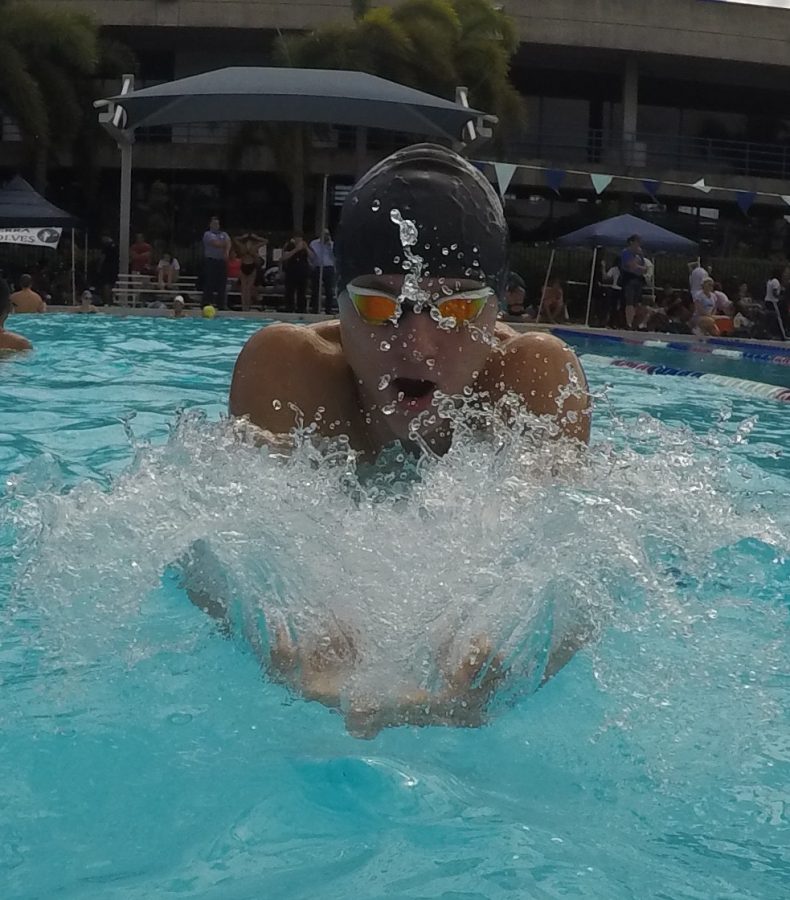 Alfredo Wolfermann warms up for his 100-yard breaststroke.