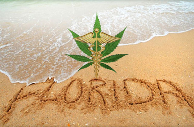 Voters+finally+pass+amendment+2+which+permits+the+use+of+medical+marijuana+in+the+state+of+Florida.