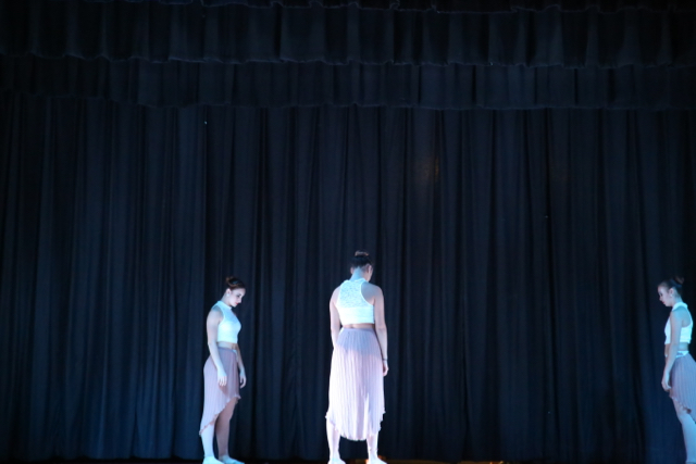 2016 Annual Fall Frolics Performance