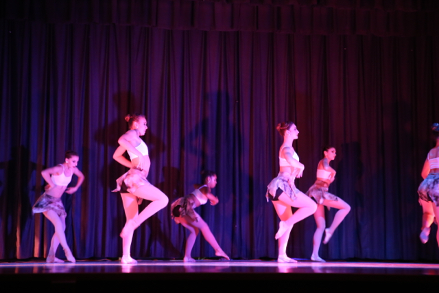 2016 Annual Fall Frolics Performance