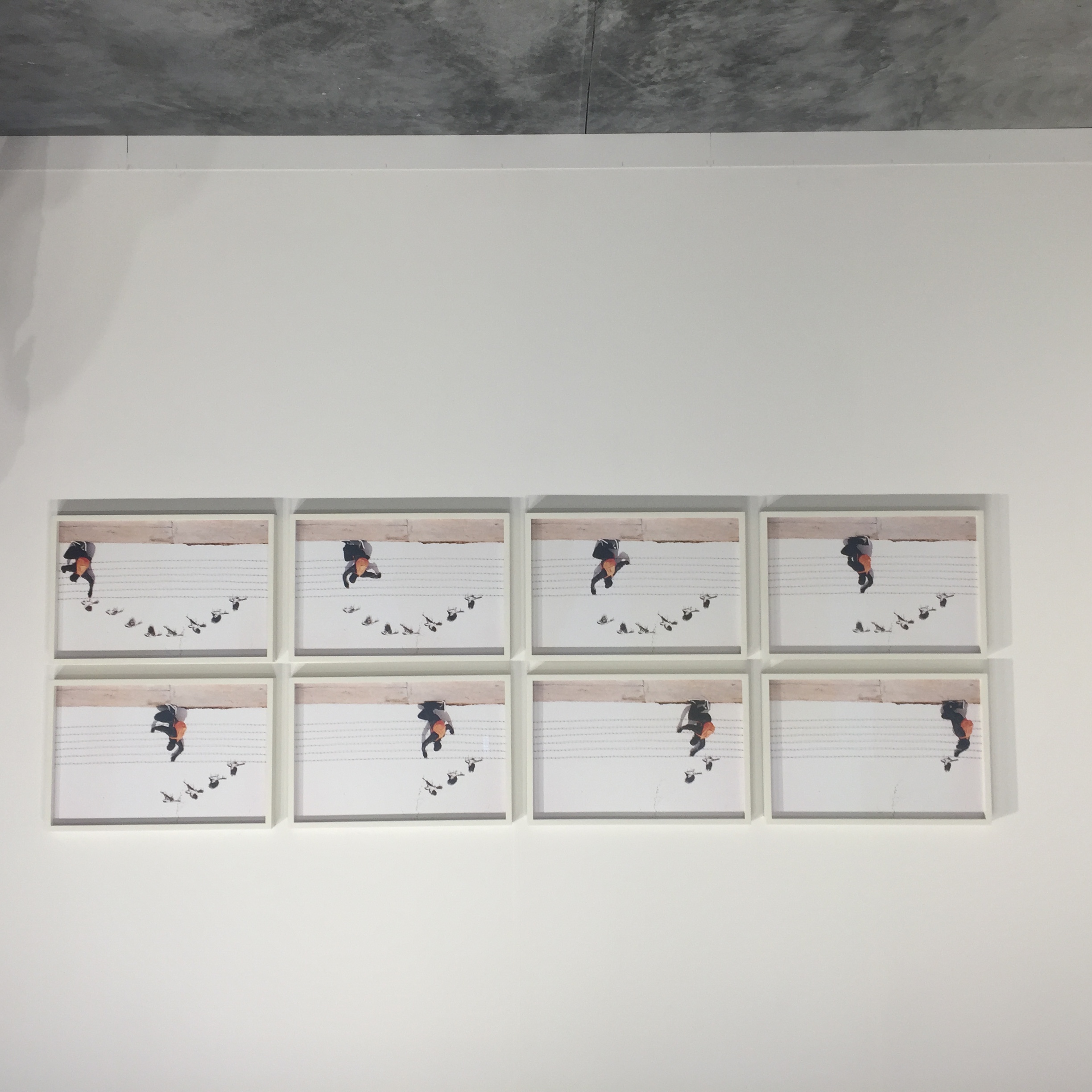 Art Basel: Taking the Art World By Storm