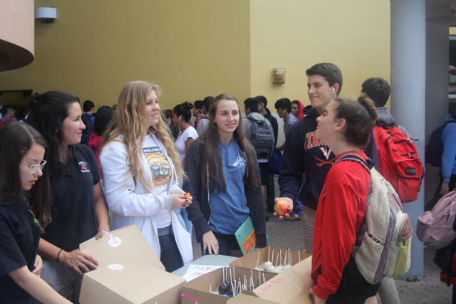 Junior Treat Day- Cake Pop Edition!