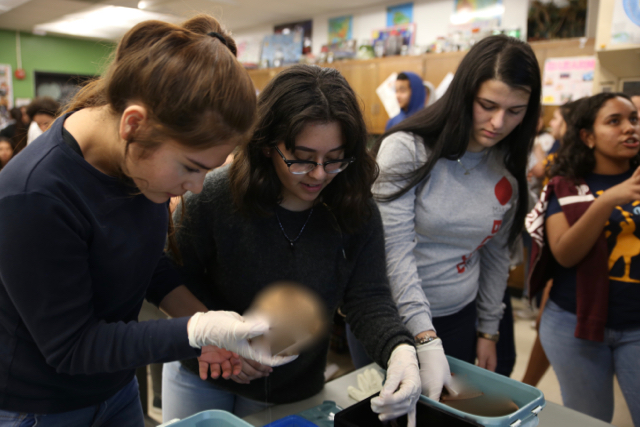 Cavaliers Interact With UM Medical Students