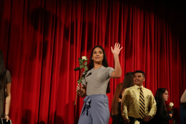 IB Pinning Class of 2018