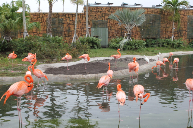CAF&DM Students Take On Zoo Miami