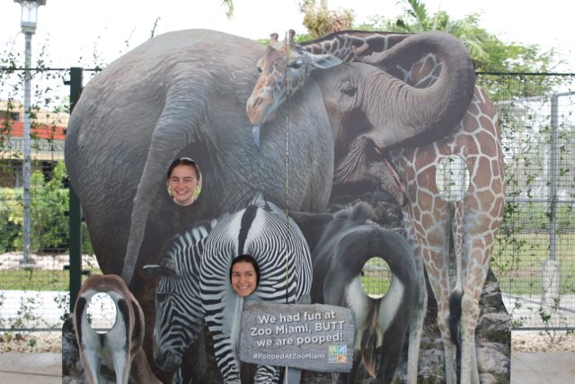 CAF&DM Students Take On Zoo Miami