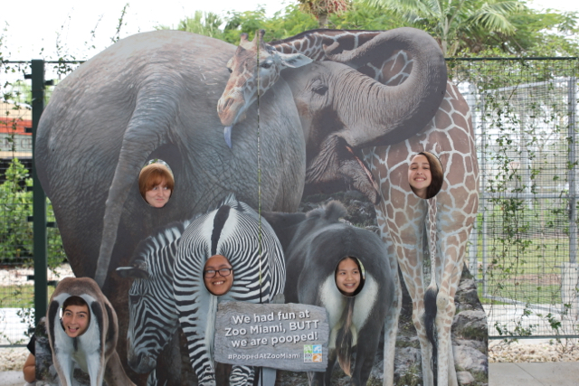 CAF&DM Students Take On Zoo Miami