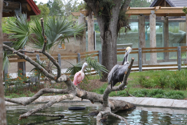 CAF&DM Students Take On Zoo Miami
