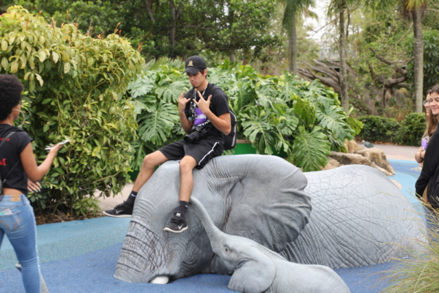 CAF&DM Students Take On Zoo Miami