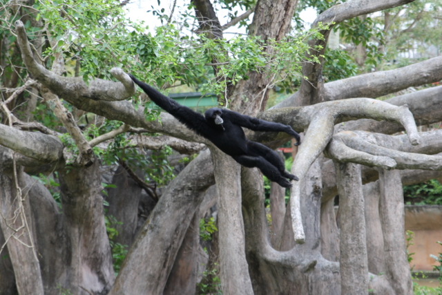 CAF&DM Students Take On Zoo Miami