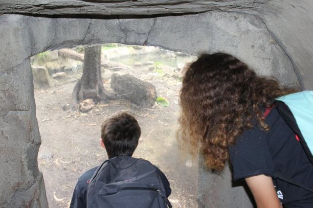 CAF&DM Students Take On Zoo Miami