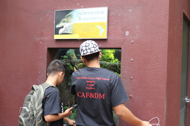 CAF&DM Students Take On Zoo Miami