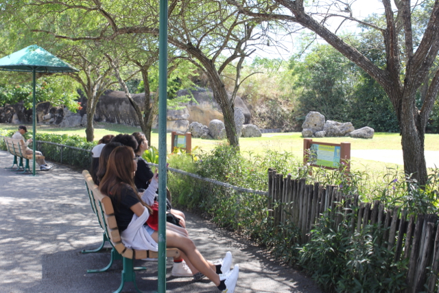 CAF&DM Students Take On Zoo Miami