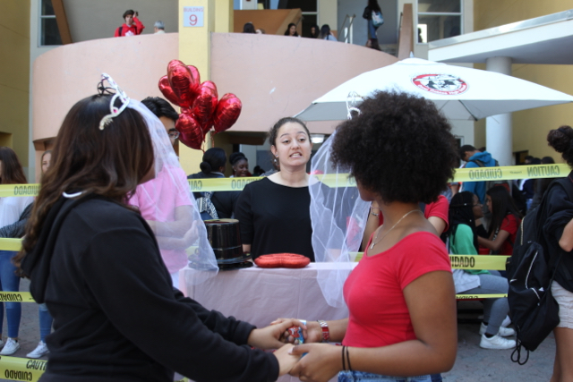 Valentines Day Marriage Booth 2017