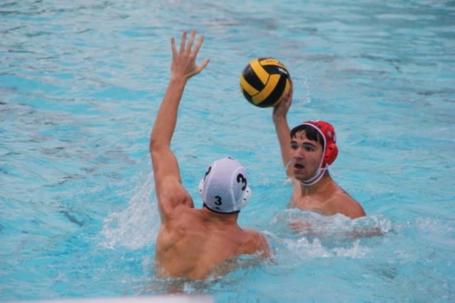 Gables Water Polo Goes Up Against Cutler Bay