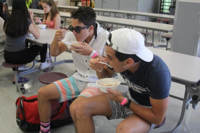 Class of 2017 Senior Picnic