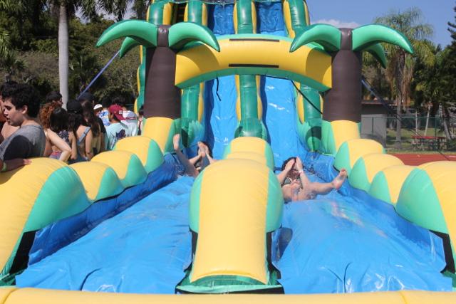 Class of 2017 Senior Picnic