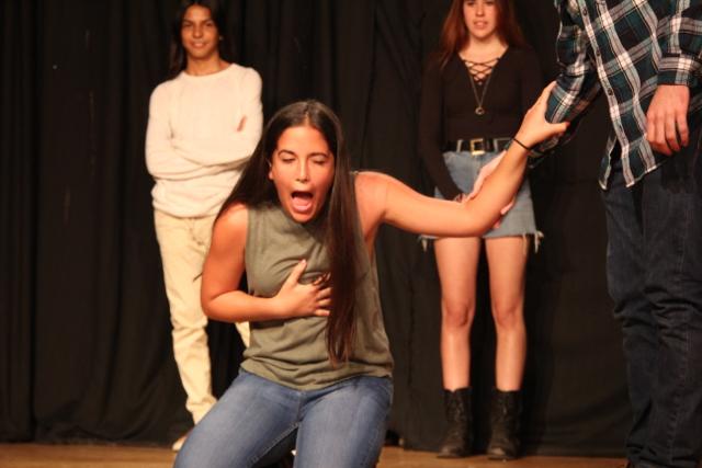 Improv Troupe Performance 2017