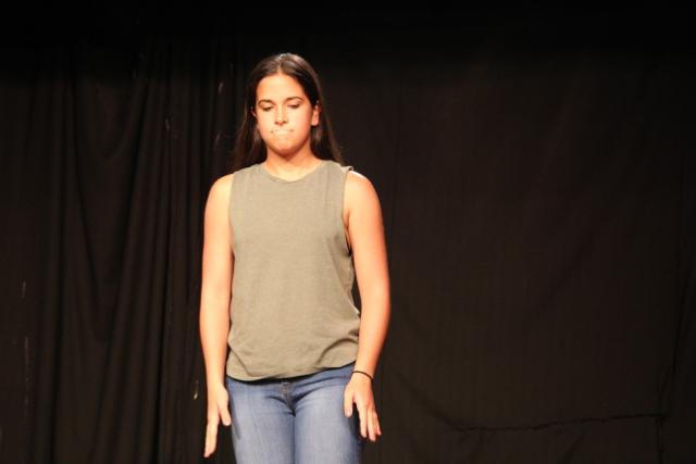 Improv Troupe Performance 2017