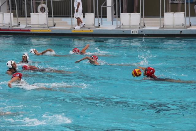 Gables Water Polo Goes Up Against Cutler Bay