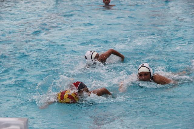 Gables Water Polo Goes Up Against Cutler Bay