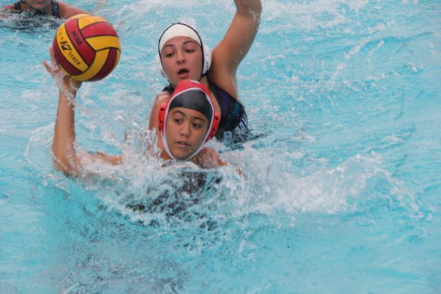 Gables Water Polo Goes Up Against Cutler Bay