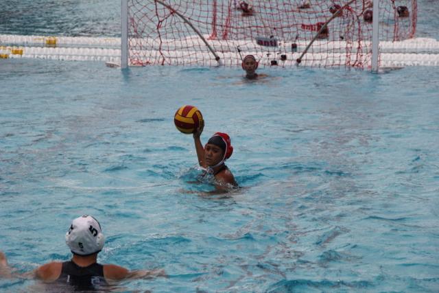 Gables Water Polo Goes Up Against Cutler Bay