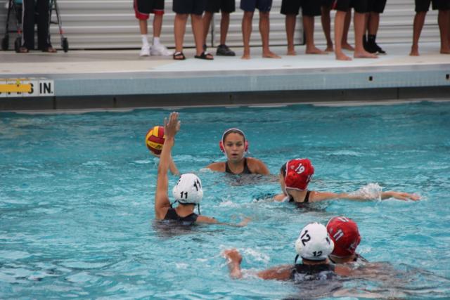 Gables Water Polo Goes Up Against Cutler Bay