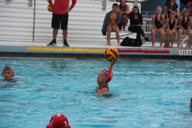 Gables Water Polo Goes Up Against Cutler Bay