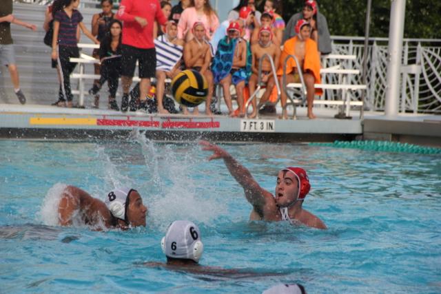 Gables Water Polo Goes Up Against Cutler Bay