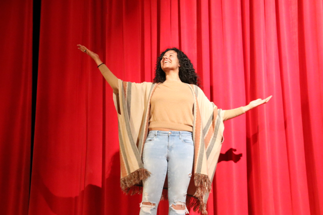 Annual Gablette Revue 2017