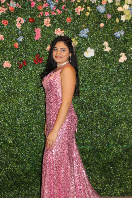 Senior Prom Night: Earth Day