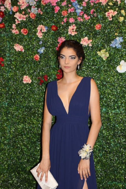 Senior Prom Night: Earth Day