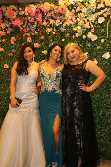 Senior Prom Night: Earth Day