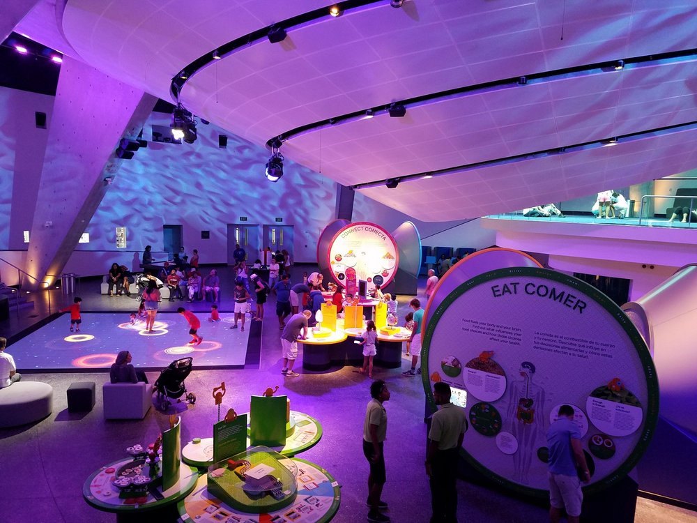 The+Frost+Museum+of+Science+hosts+a+variety+of+awe-inspiring+exhibits.