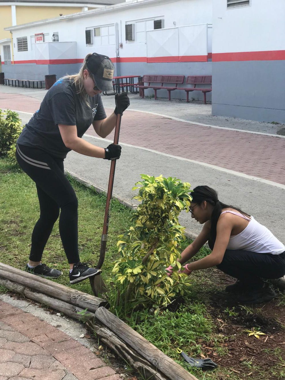 Christ Journey Partners with IBHS for Beautification